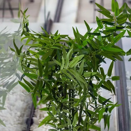 Aparthotel Aspendos Extra